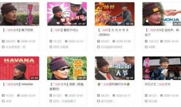 二爷最新爆料视频大全,揭秘幕后真相，热点事件全解析